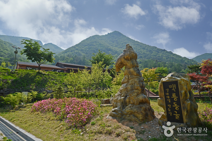 평창 백룡동굴(平昌白龙洞窟)