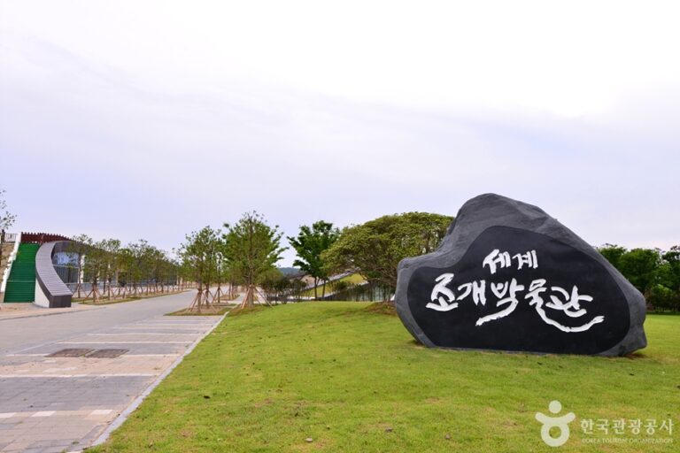 1004博物馆公园（1004 뮤지엄파크）